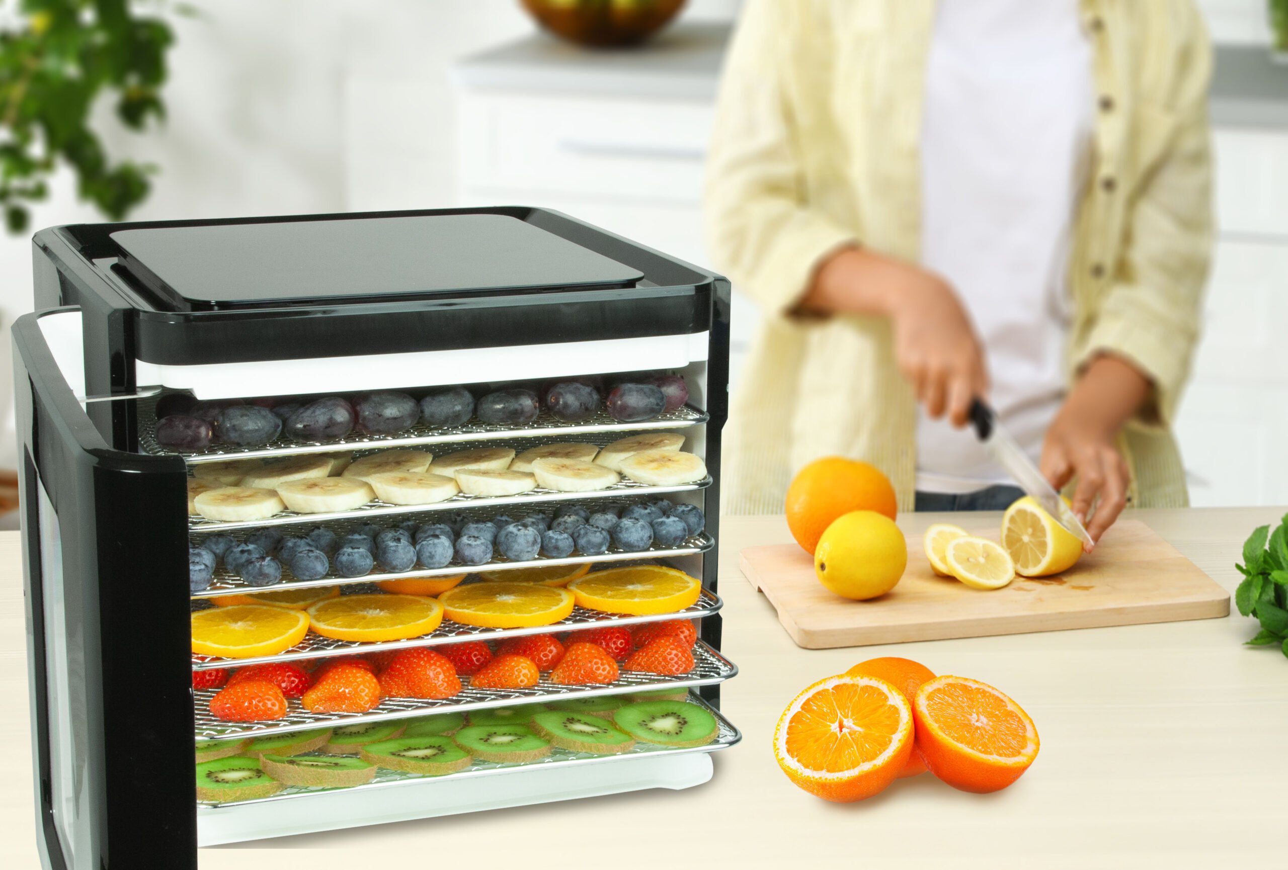 Best 12 Tray Food Dehydrators